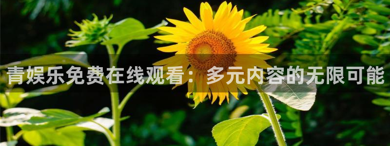 OB视讯平台官方入口下载：青娱乐免费在线观看：多元内容的无限可能