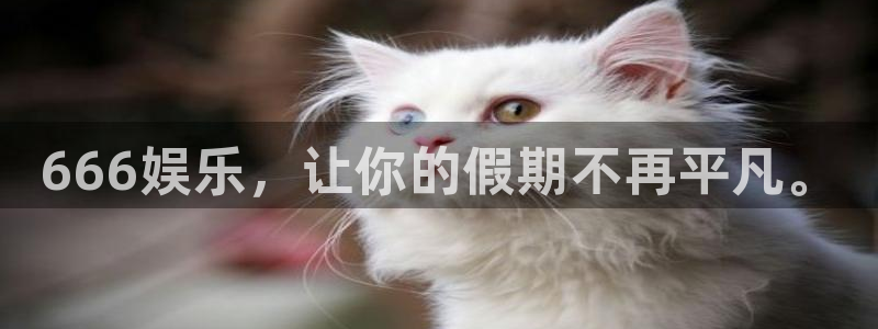 OB视讯那个爆率高：666娱乐，让你的假期不再平凡。