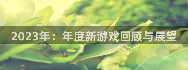 OB视讯app新版上线体验.游戏更新入口.中国：2023年：年度新游戏回顾与展望