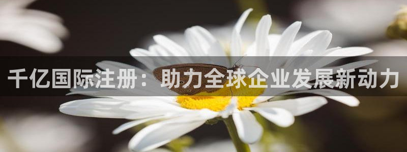OB视讯体育合法嘛：千亿国际注册：助力全球企业发展新动力