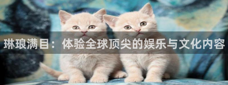 OB视讯哪个游戏好爆：琳琅满目：体验全球顶尖的娱乐与文化内容