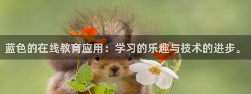 OB视讯网页版登