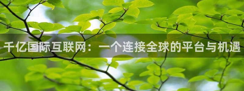 OB视讯2平台注册：千亿国际互联网：一个连接全球的平台与机遇
