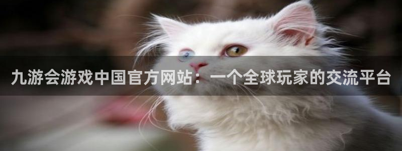 OB视讯加拿大在线预测：九游会游戏中国官方网站：一个全球玩家的交流平台