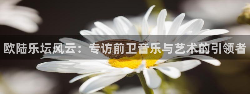 OB视讯ccmpc麻将胡了：欧陆乐坛风云：专访前卫音乐与艺术的引领者