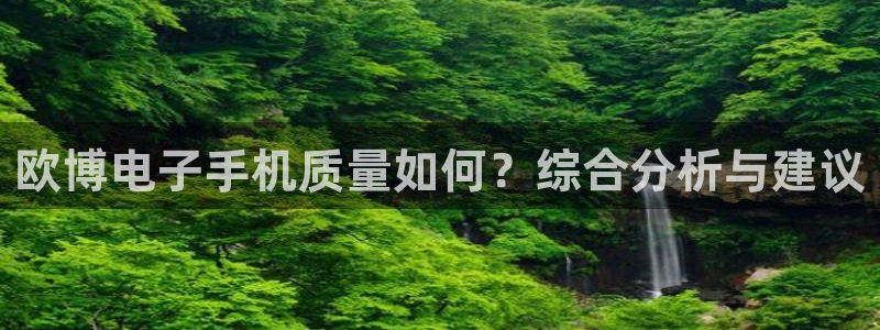 OB视讯主管：欧博电子手机质量如何？综合分析与建议