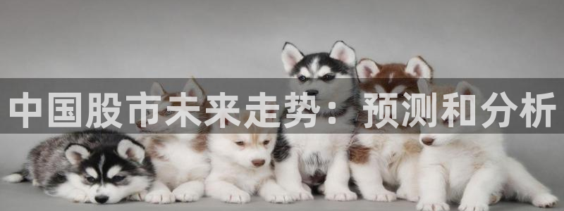 OB视讯注册：中国股市未来走势：预测和分析