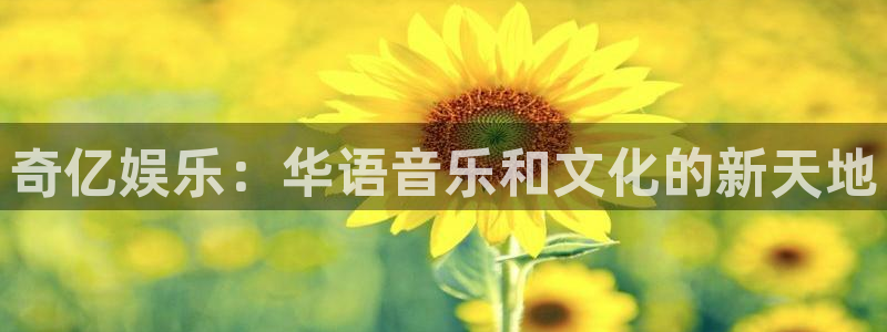 OB视讯平台官方入口：奇亿娱乐：华语音乐和文化的新天地