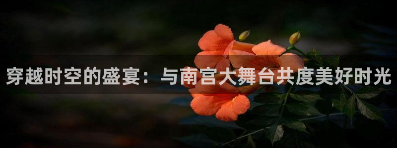 OB视讯预测pc在线预测网址：穿越时空的盛宴：与南宫大舞台共度美好时光