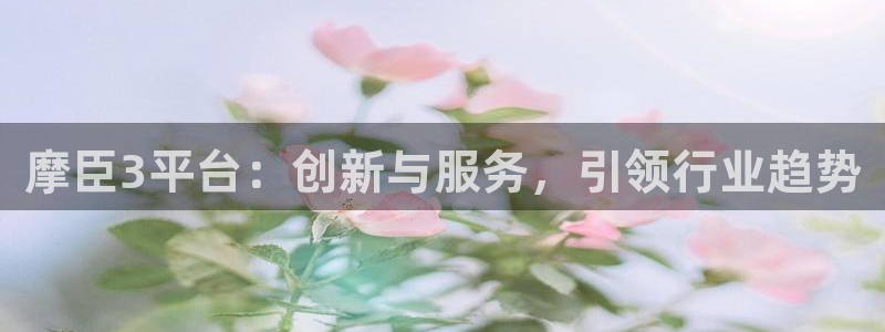 OB视讯pg：摩臣3平台：创新与服务，引领行业趋势