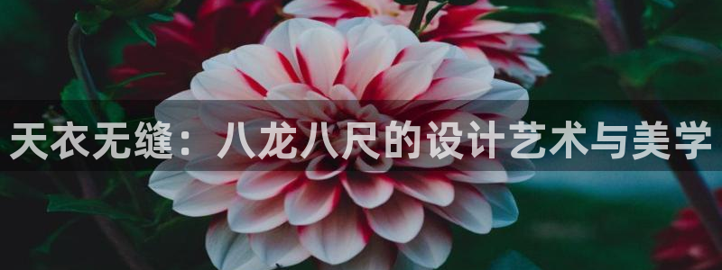 OB视讯5：天衣无缝：八龙八尺的设计艺术与美学
