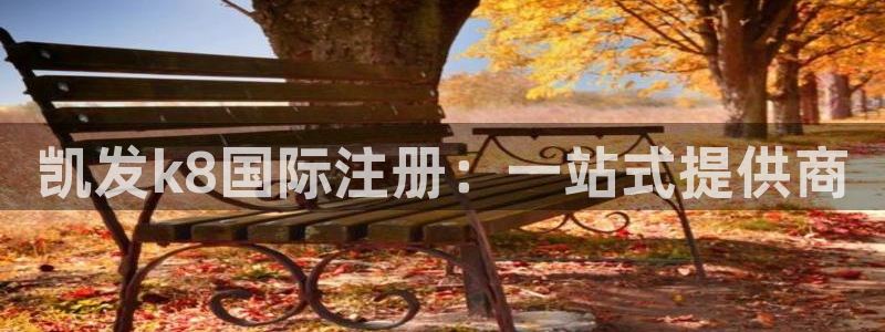 OB视讯网站：凯发k8国际注册：一站式提供商