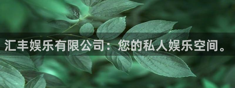 OB视讯游戏有哪些好玩的：汇丰娱乐有限公司：您的私人娱乐空间。