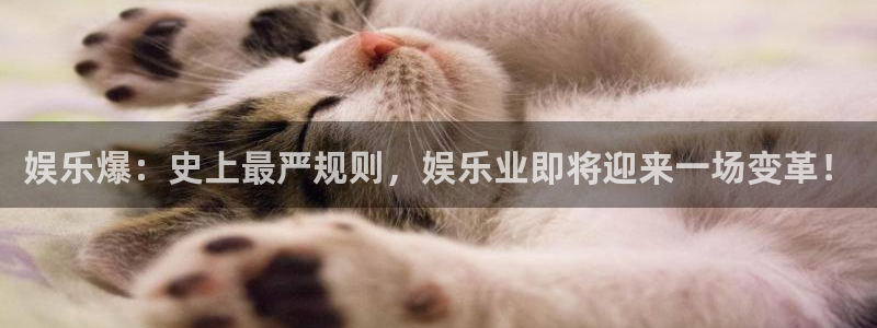 OB视讯下载链接是多少