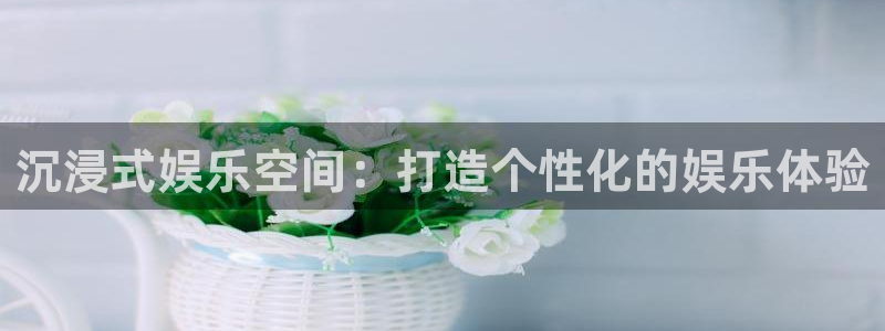 OB视讯体育凯捷平台注册：沉浸式娱乐空间：打造个性化的娱乐体验