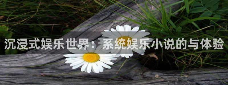 OB视讯注册链接：沉浸式娱乐世界：系统娱乐小说的与体验